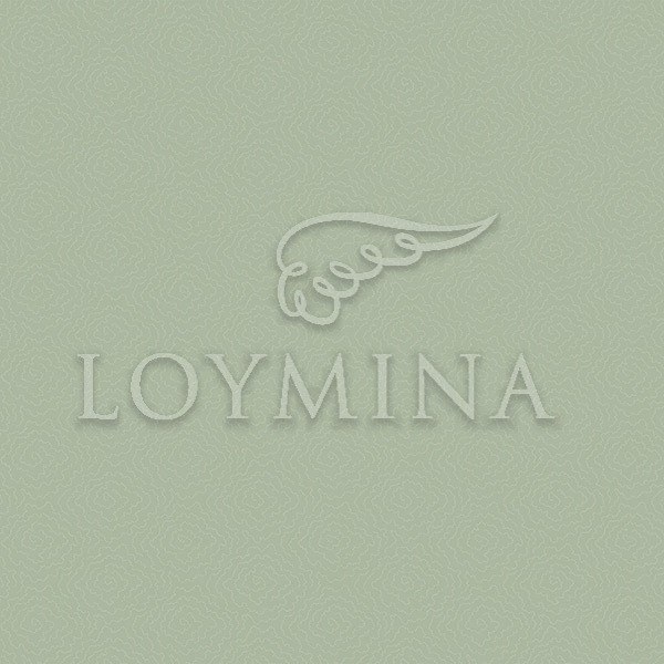 Обои LOYMINA JET7 005